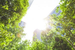 Business towers and Green leaves