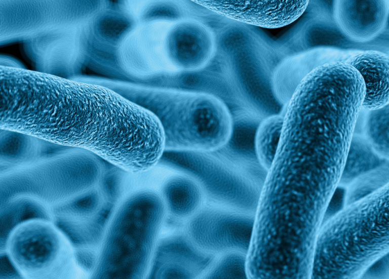 legionellabeheersing-legionella-uitbraak-voorkomen